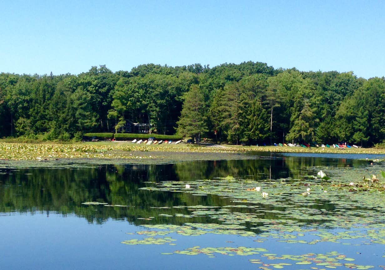 Camper submitted image from Black Moshannon State Park Campground - 3