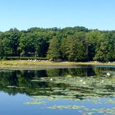 Review photo of Black Moshannon State Park Campground by Rebecca E., August 17, 2017
