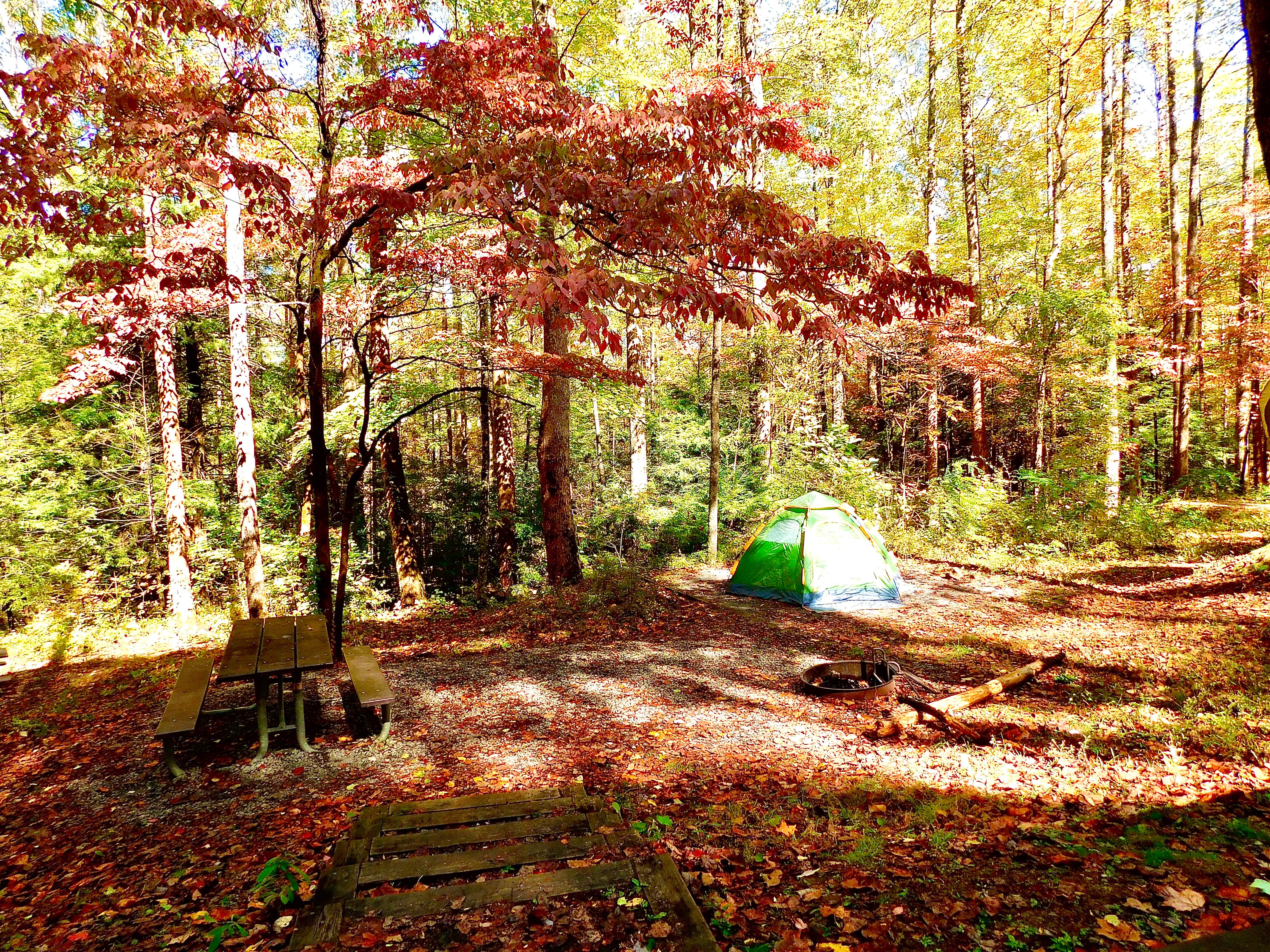 Dana W.'s photo of tent camping at Cosby Campground — Great Smoky Mountains National Park near Alcoa, TN