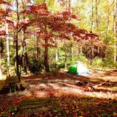 Review photo of Cosby Campground — Great Smoky Mountains National Park by Dana W., October 25, 2019