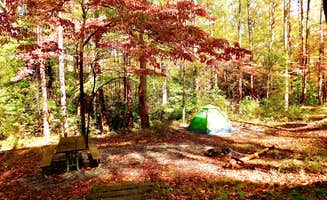 Dana W.'s photo at Cosby Campground — Great Smoky Mountains National Park near Hartford, TN