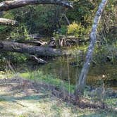 Review photo of Bogue Chitto State Park Campground by Cat R., October 25, 2019