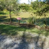 Review photo of Bogue Chitto State Park Campground by Cat R., October 25, 2019