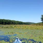 Review photo of Black Moshannon State Park Campground by Rebecca E., August 17, 2017