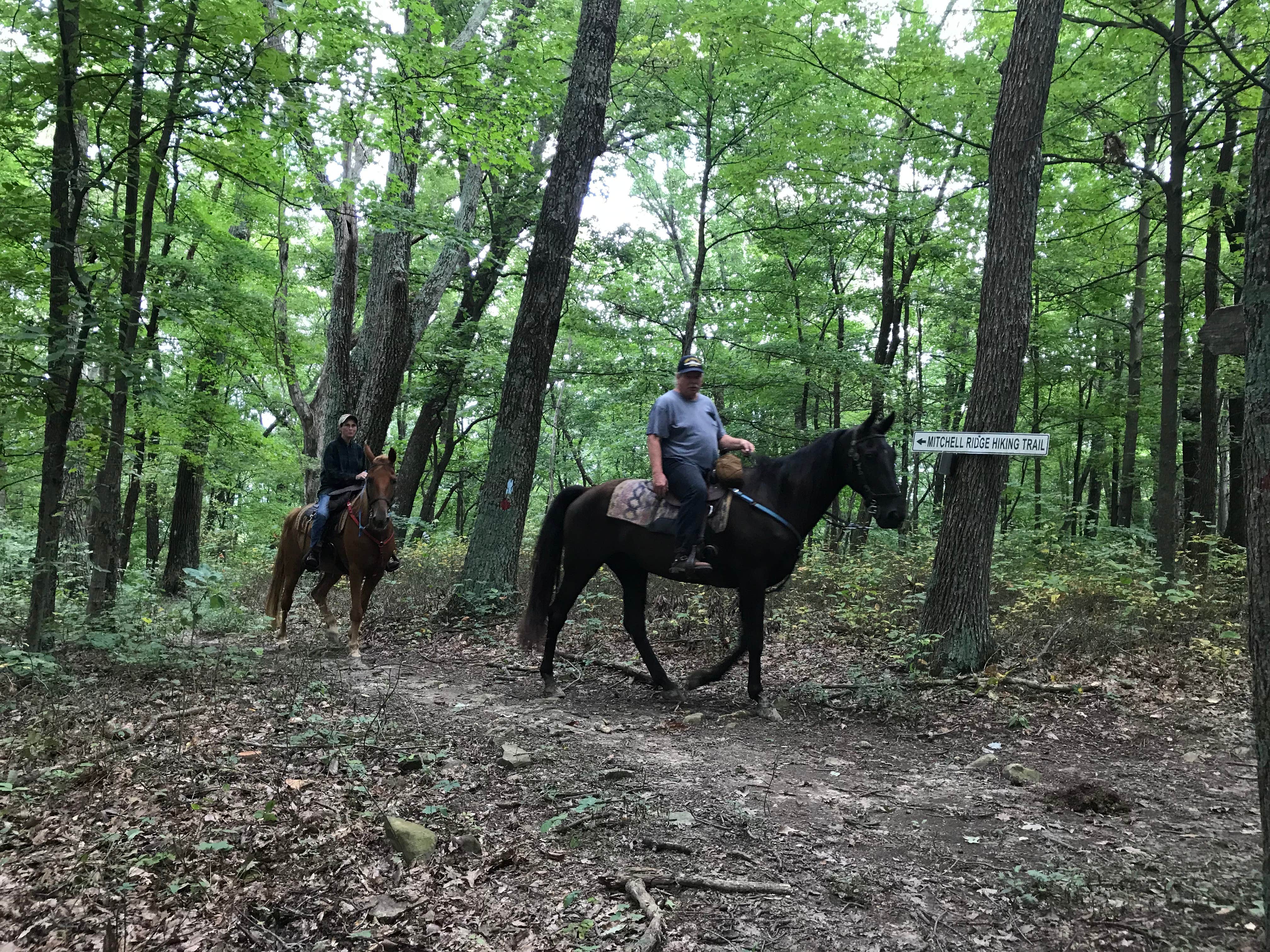 Shannon G.'s photo of camping with a horse at Pike Lake State Park Campground near Zaleski, OH