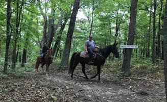 Shannon G.'s photo of camping with a horse at Pike Lake State Park Campground near Ray, OH