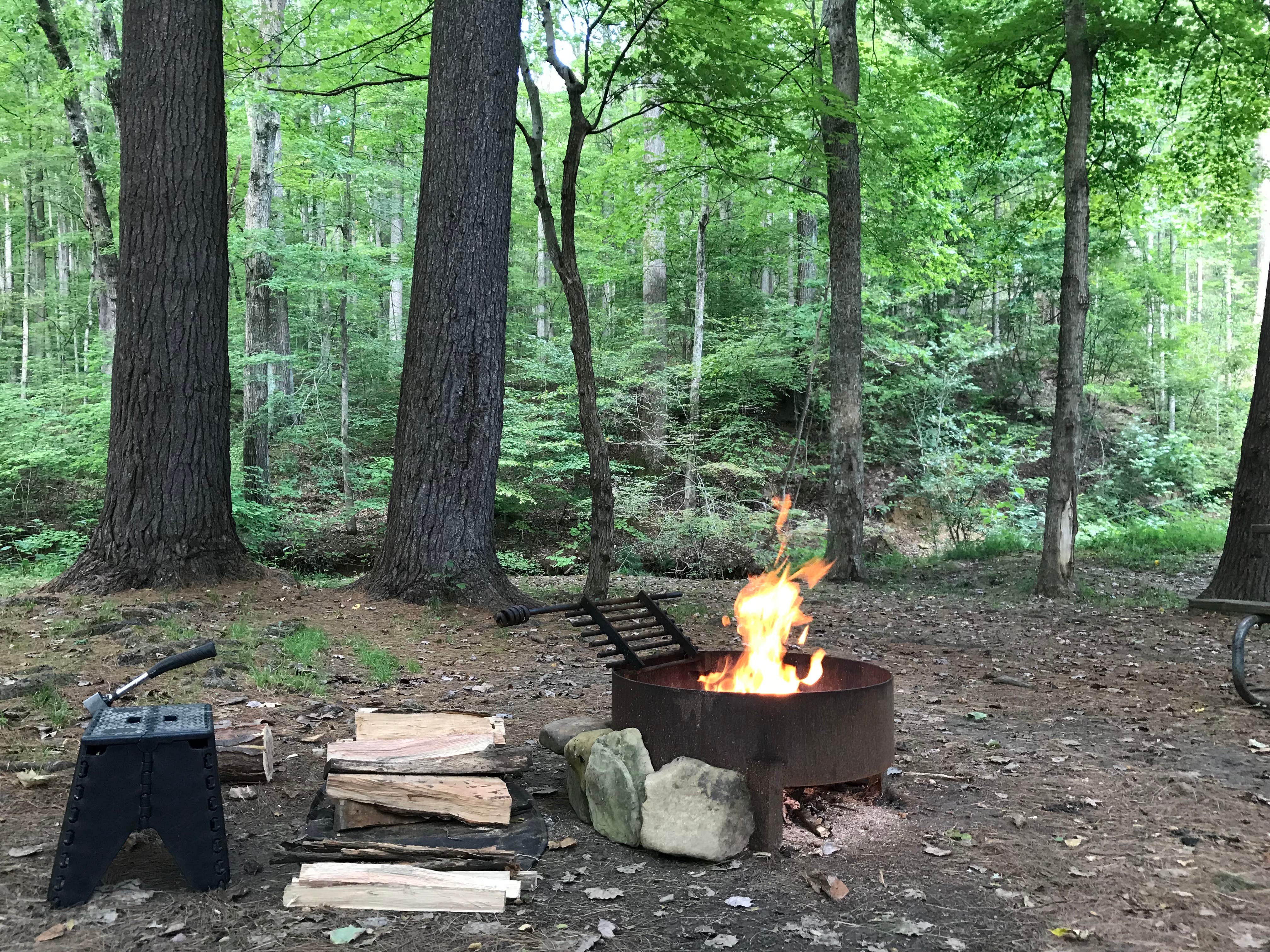 Camper submitted image from Pike Lake State Park Campground - 5