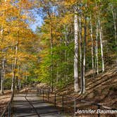 Review photo of River Run Campground — North Bend State Park by Jennifer B., October 26, 2019