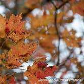 Review photo of River Run Campground — North Bend State Park by Jennifer B., October 26, 2019