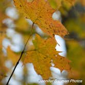 Review photo of River Run Campground — North Bend State Park by Jennifer B., October 26, 2019