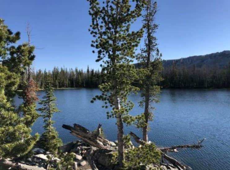 Camper-submitted photo at Hoback Campground - Bridger Teton National Forest near Bridger-Teton National Forest