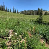 Review photo of Hoback Campground - Bridger Teton National Forest by Sam M., October 26, 2019