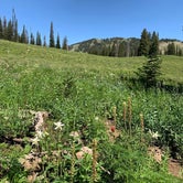 Review photo of Hoback Campground by Sam M., October 26, 2019