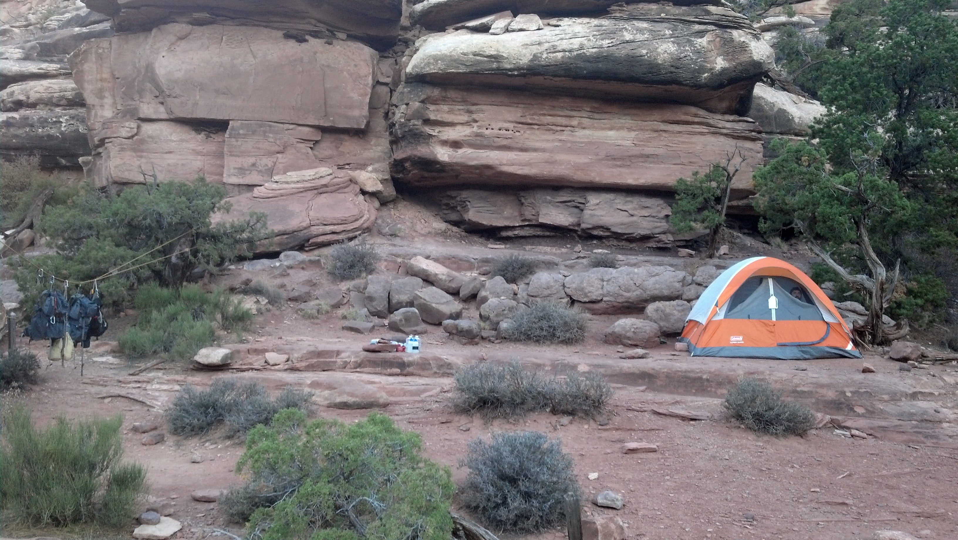 Camper submitted image from Chesler Park — Canyonlands National Park - 1