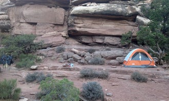 Camping near White Canyon Primitive Campground — Glen Canyon National Recreation Area: Chesler Park — Canyonlands National Park, Canyonlands National Park, Utah