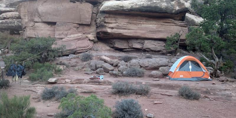 Camper submitted image from Chesler Park — Canyonlands National Park