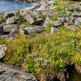 Review photo of Doliver Island by Shari  G., October 26, 2019