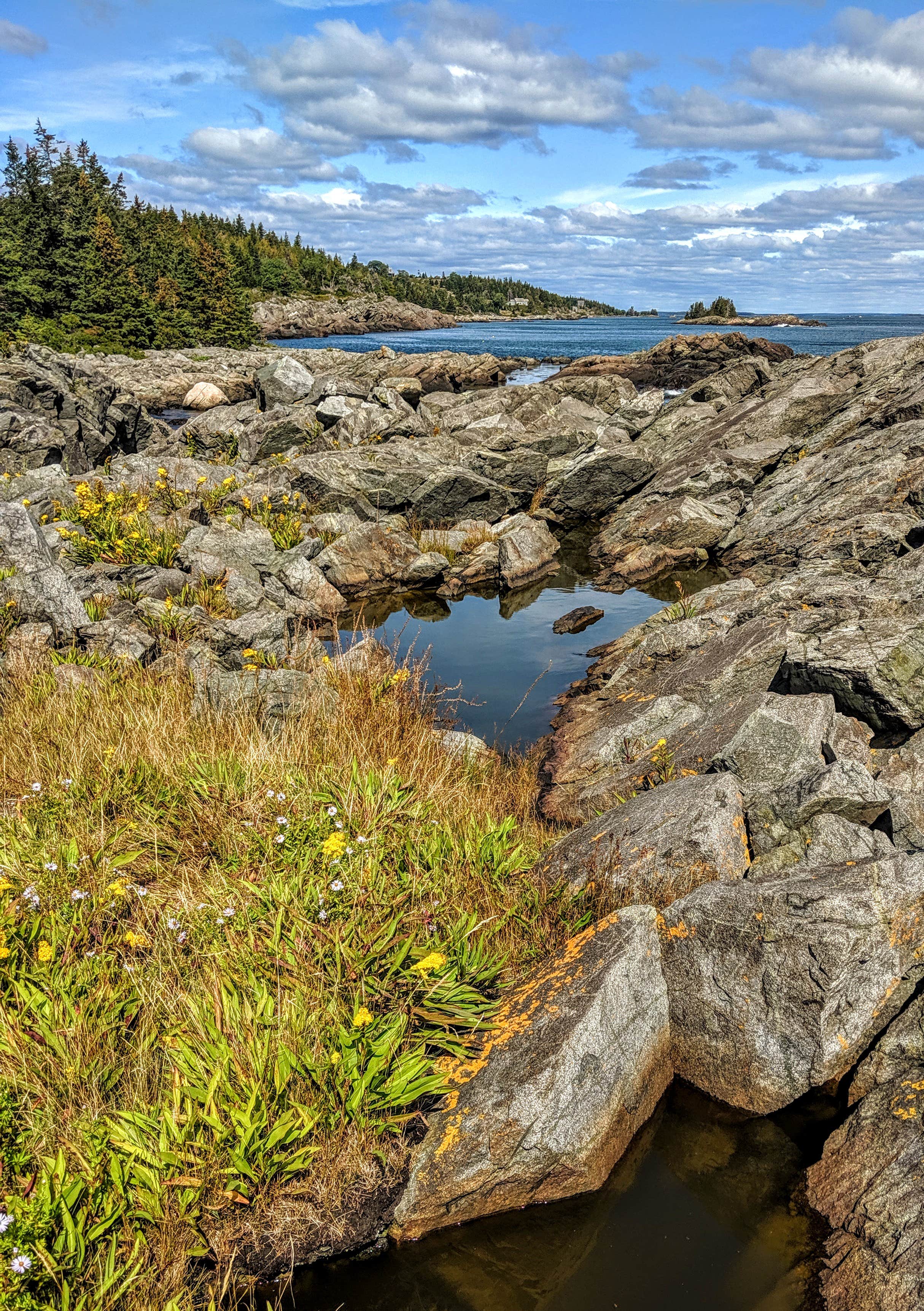 Camper-submitted photo at Doliver Island near Searsmont, ME