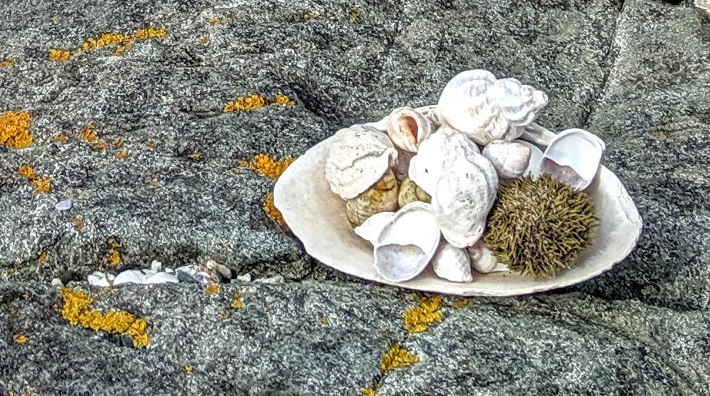 Camper-submitted photo at Doliver Island near Searsmont, ME