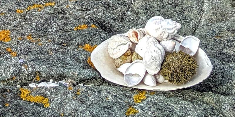 Camper submitted image from Doliver Island