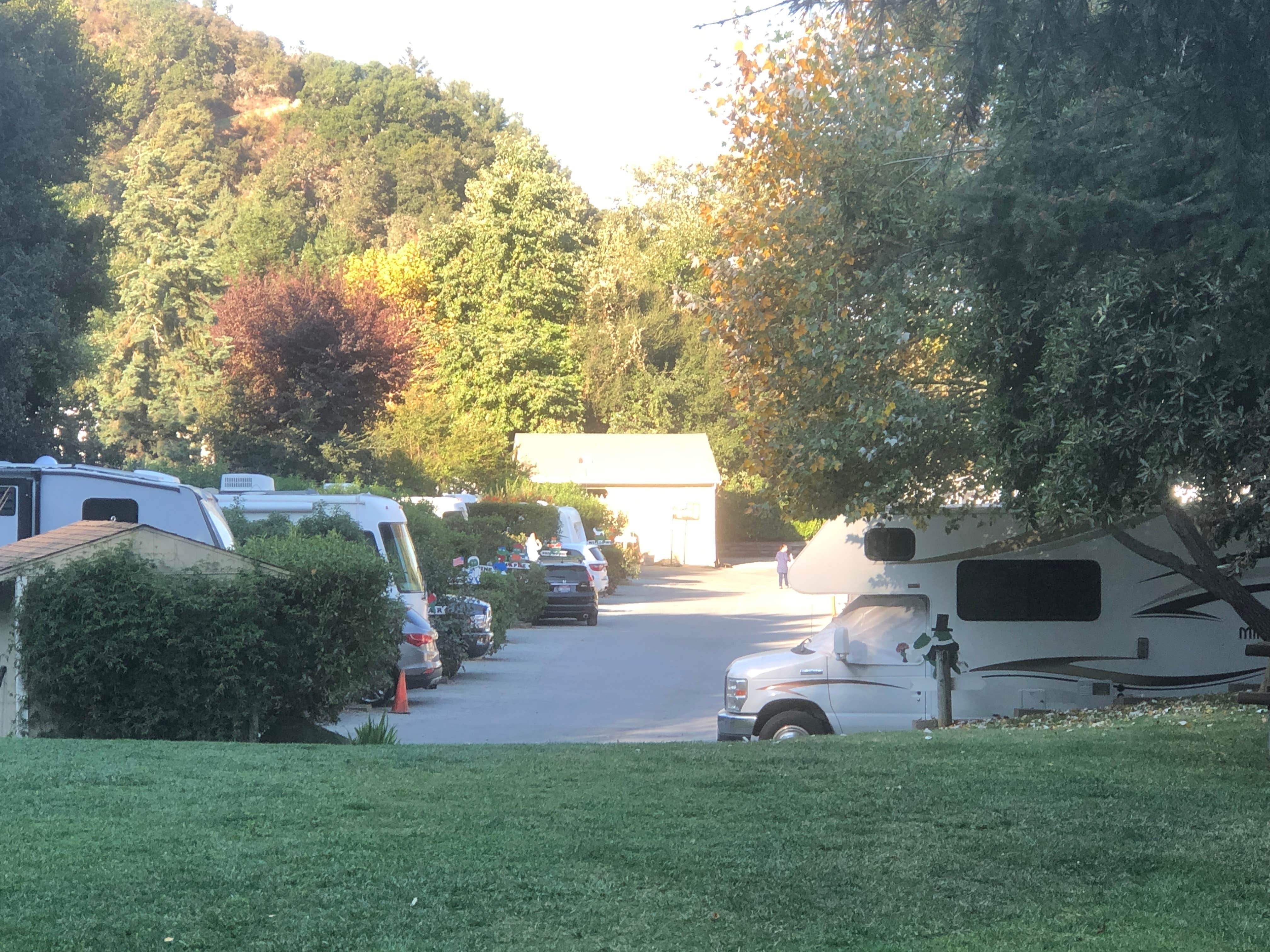 Camper submitted image from Carmel by the River RV Park - 2