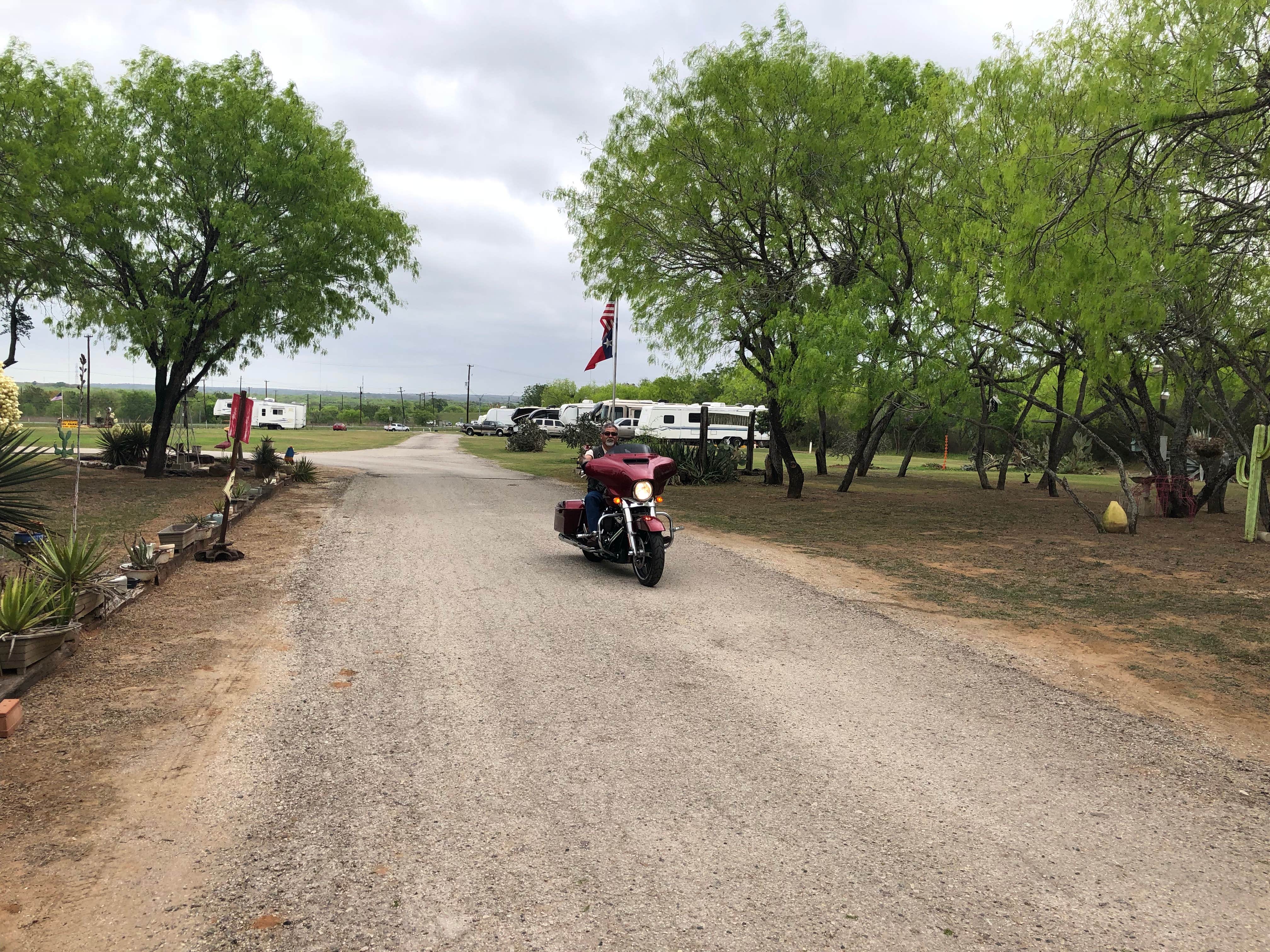 Camper-submitted photo at Cactus Country RV Park near Jourdanton, TX