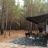 Review photo of Camp South RV Park by Jenny P., October 26, 2019