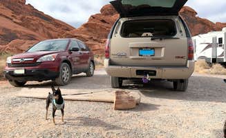 Joanne S.'s photo of camping with pets at Atlatl Rock Campground — Valley of Fire State Park near Mesquite, NV