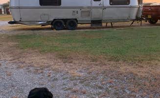 Allison N.'s photo of camping with pets at Ouachita RV Park in Louisiana