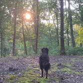 Review photo of Tombigbee State Park by Allison N., October 26, 2019