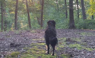 Allison N.'s photo of camping with pets at Tombigbee State Park Campground near Potts Camp, MS