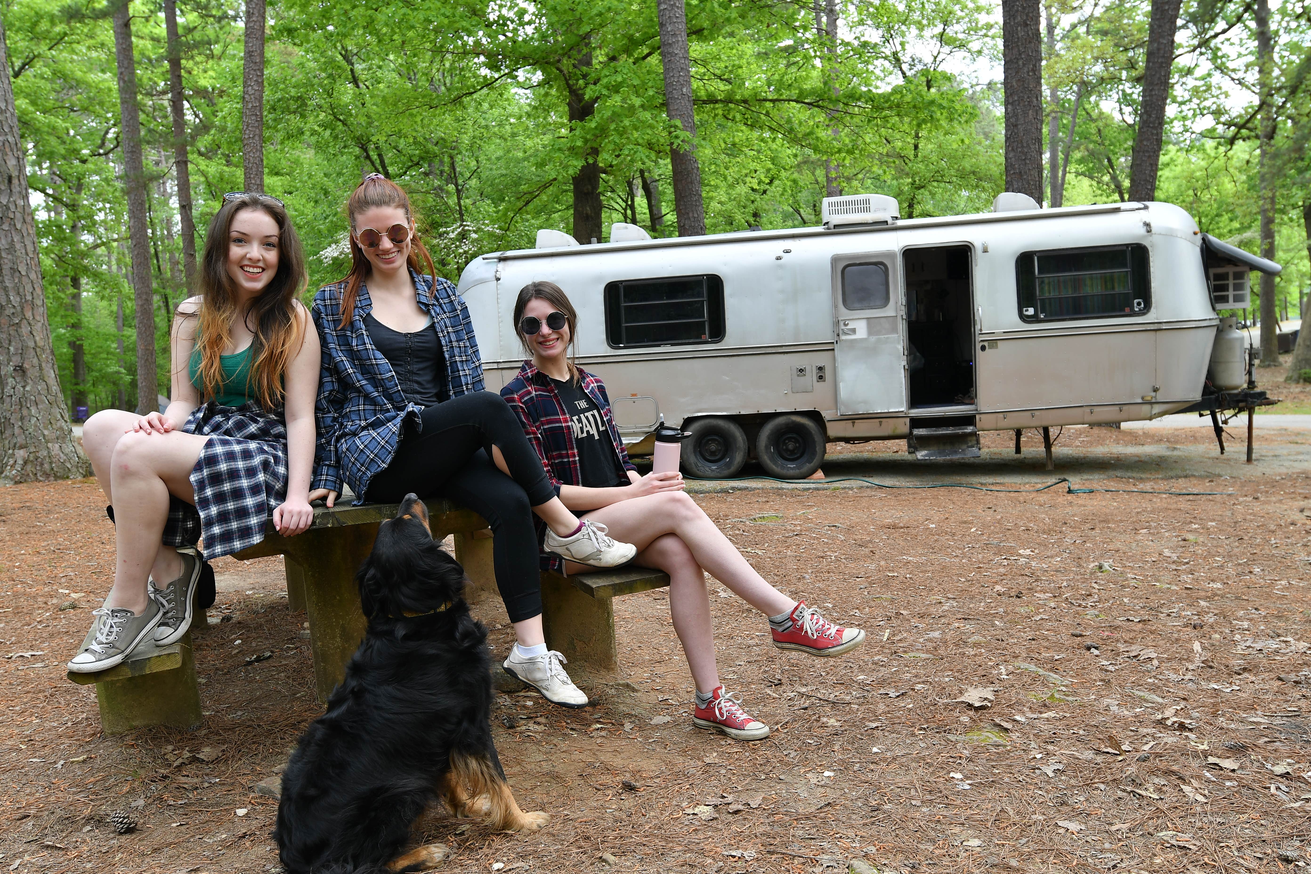 Allison N.'s photo of camping with pets at Lake Catherine State Park Campground near Mountain Pine, AR