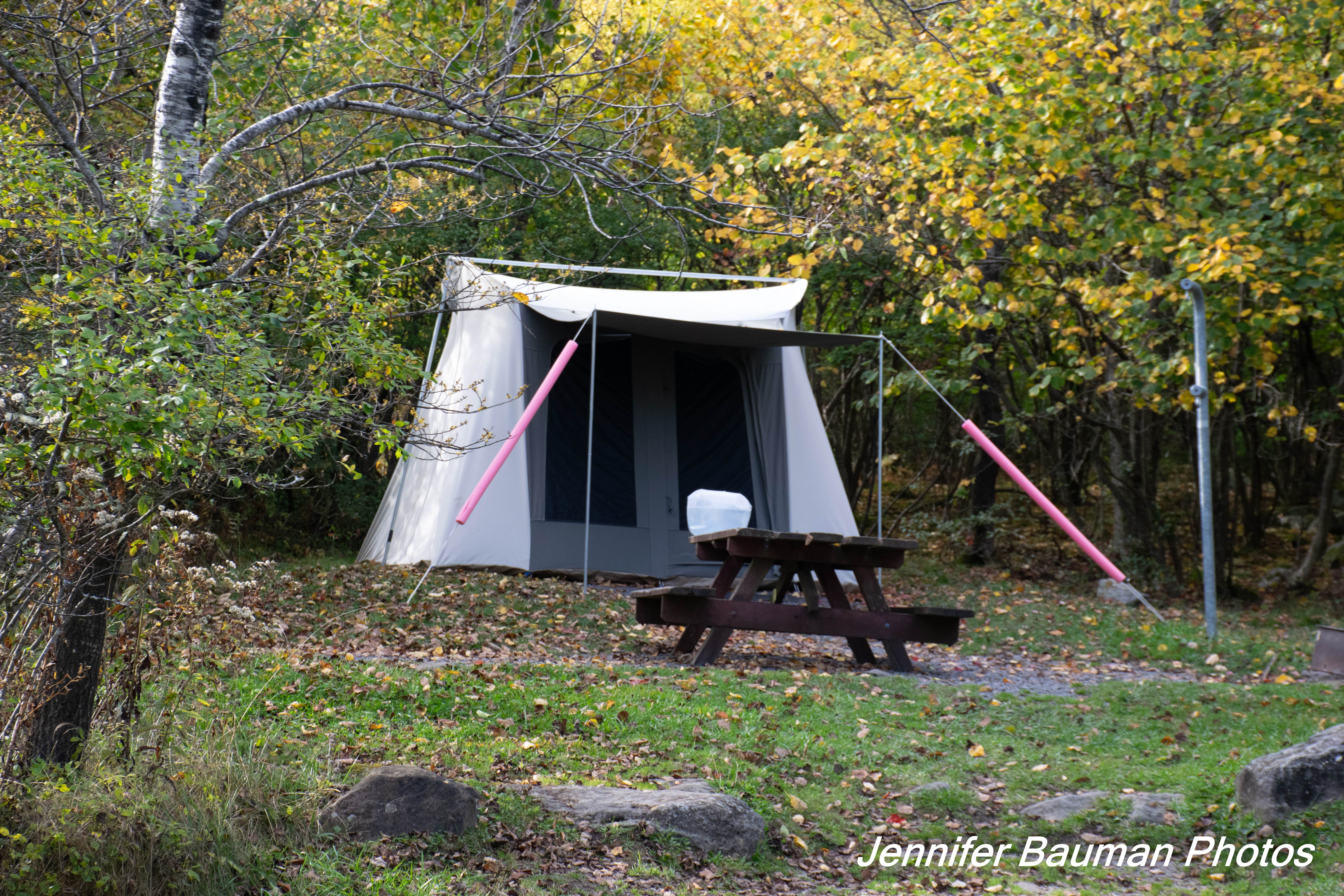 Jennifer B.'s photo at Red Creek Campground near Thomas, WV