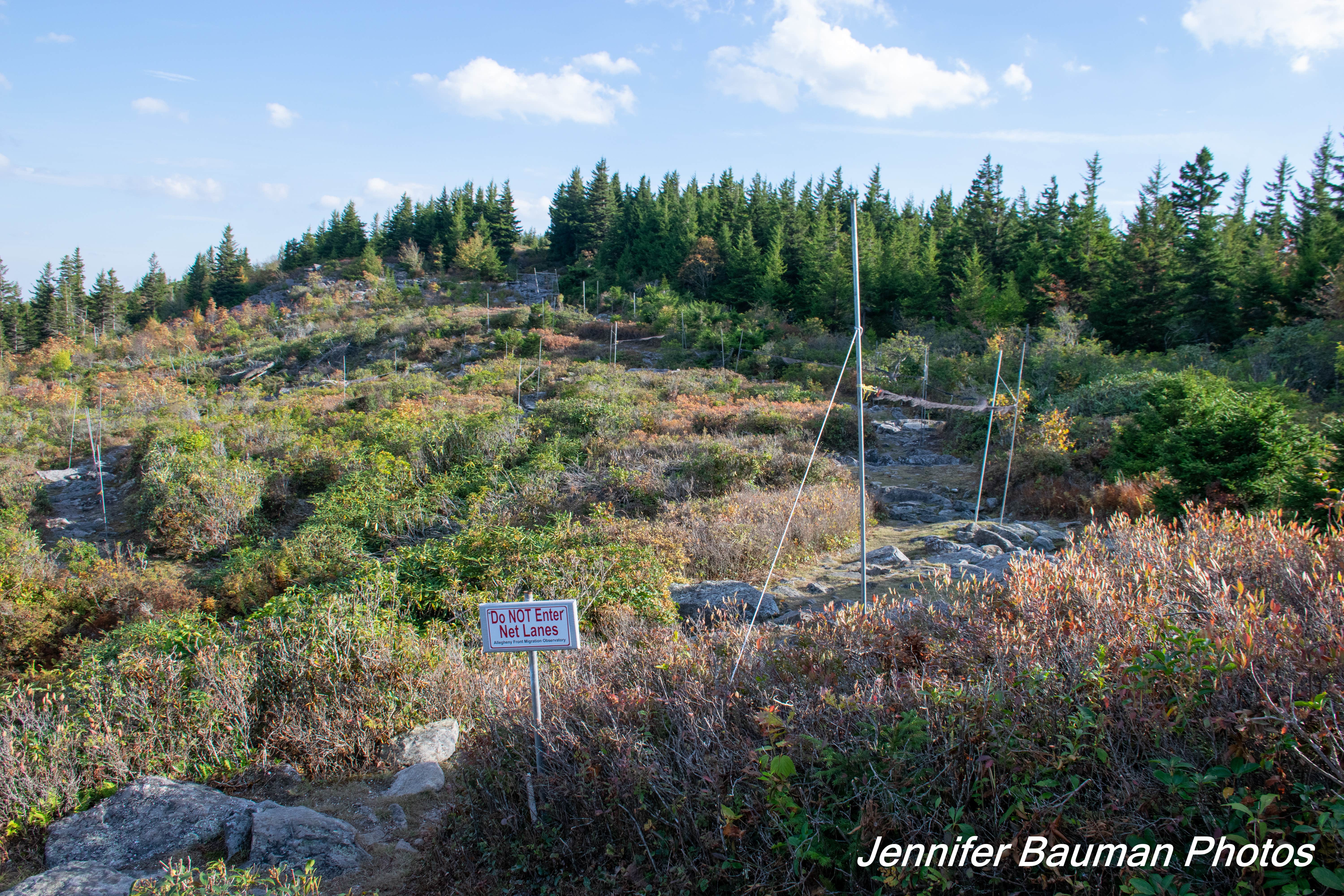 Camper-submitted photo at Red Creek Campground near Hambleton, WV