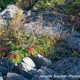 Review photo of Red Creek Campground by Jennifer B., October 27, 2019