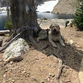 Review photo of Iron Creek Campground by Rich V., August 17, 2017