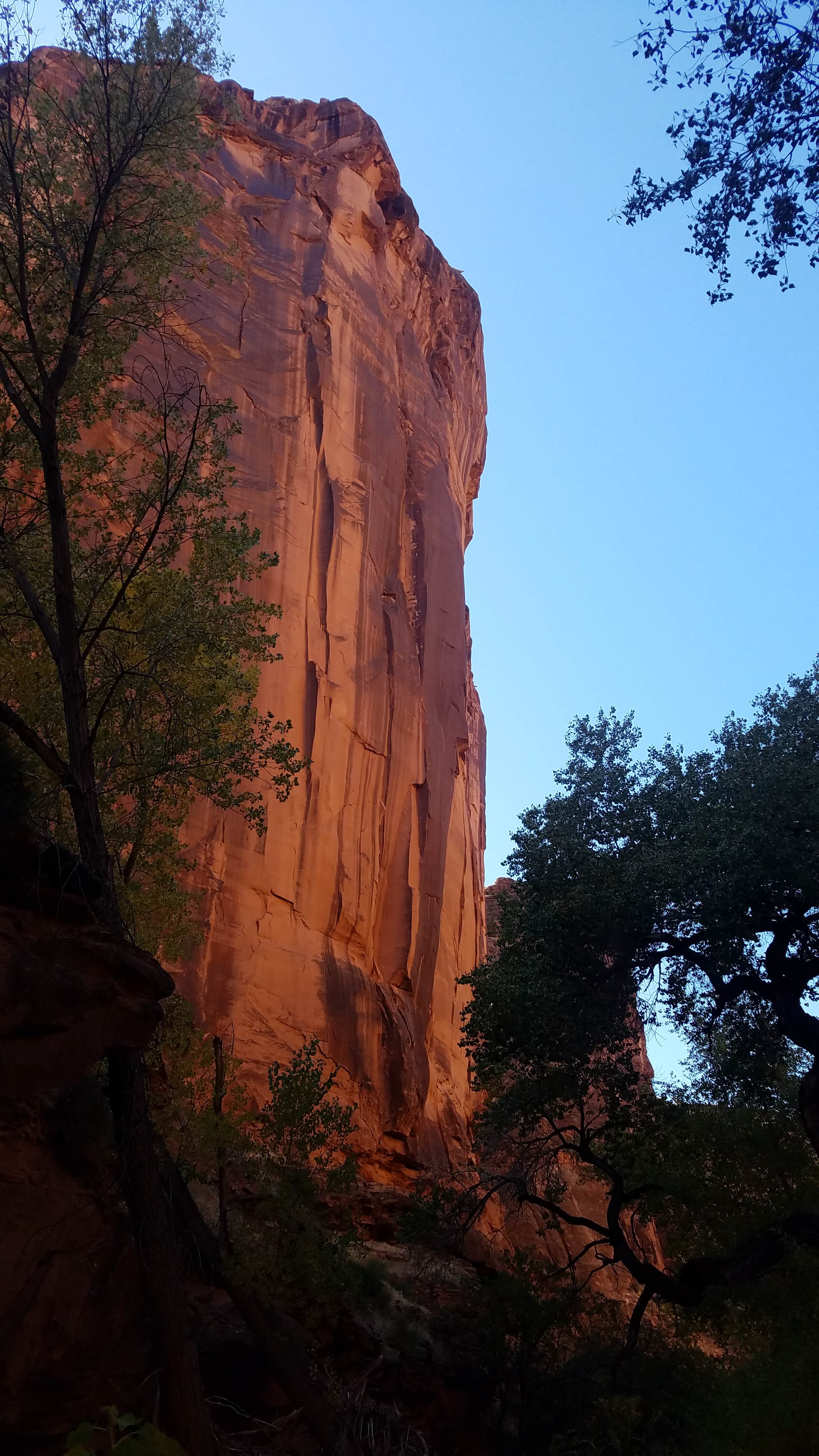 Camper-submitted photo at Looking Glass Road (Dispersed) near La Sal, UT