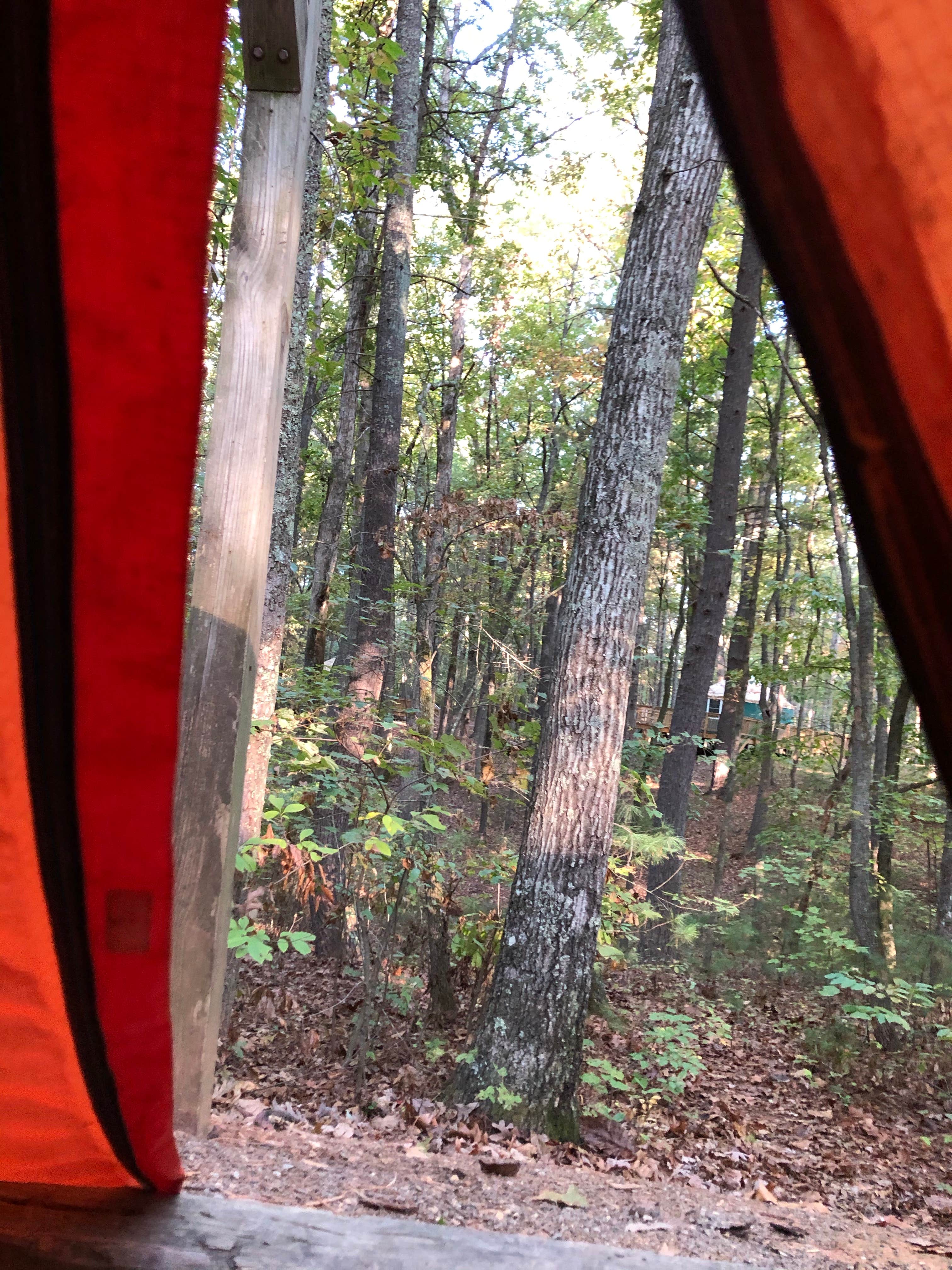 RL's photo at Claytor Lake State Park Campground near Christiansburg, VA