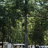 Review photo of Lakewood Camping Resort by Da’Paul F., October 27, 2019