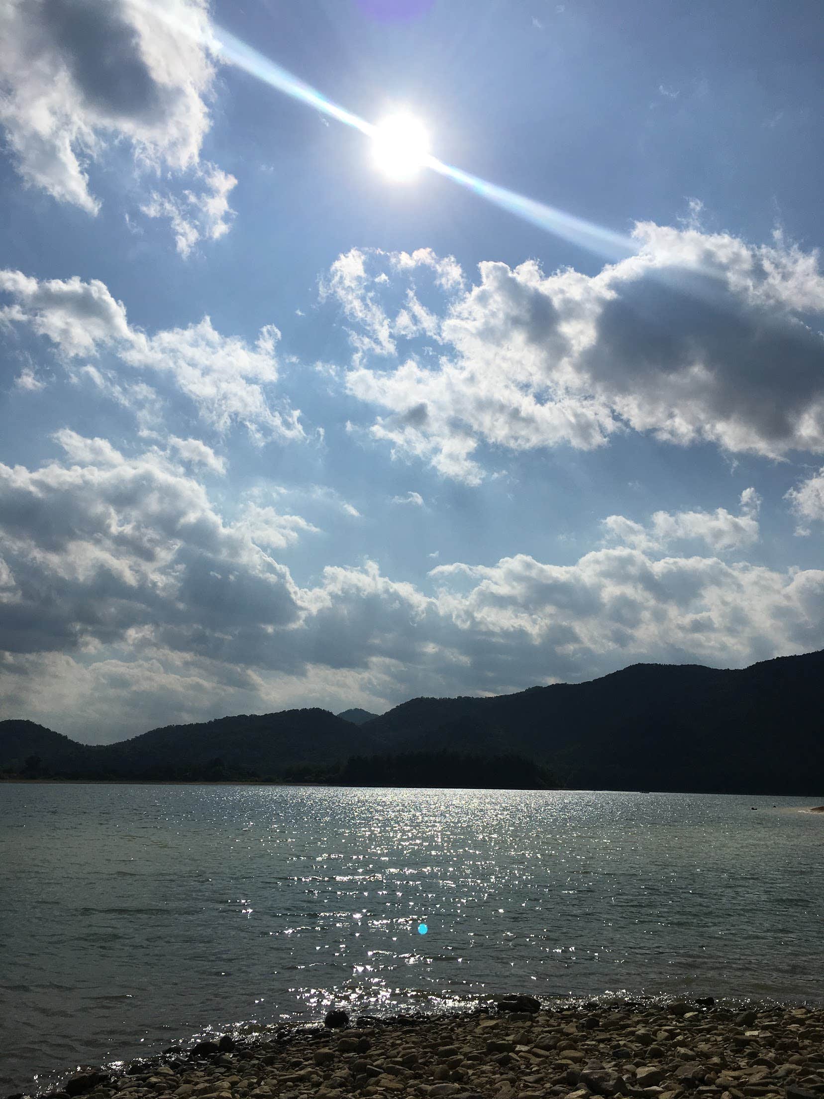 View All