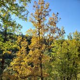 Review photo of Pumphouse Wash (FR 237) Dispersed Camping Area by Whitney W., October 27, 2019