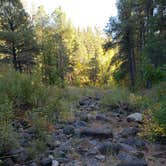 Review photo of Pumphouse Wash (FR 237) Dispersed Camping Area by Whitney W., October 27, 2019