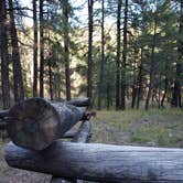 Review photo of Pumphouse Wash (FR 237) Dispersed Camping Area by Whitney W., October 27, 2019