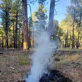 Review photo of Pumphouse Wash (FR 237) Dispersed Camping Area by Whitney W., October 27, 2019
