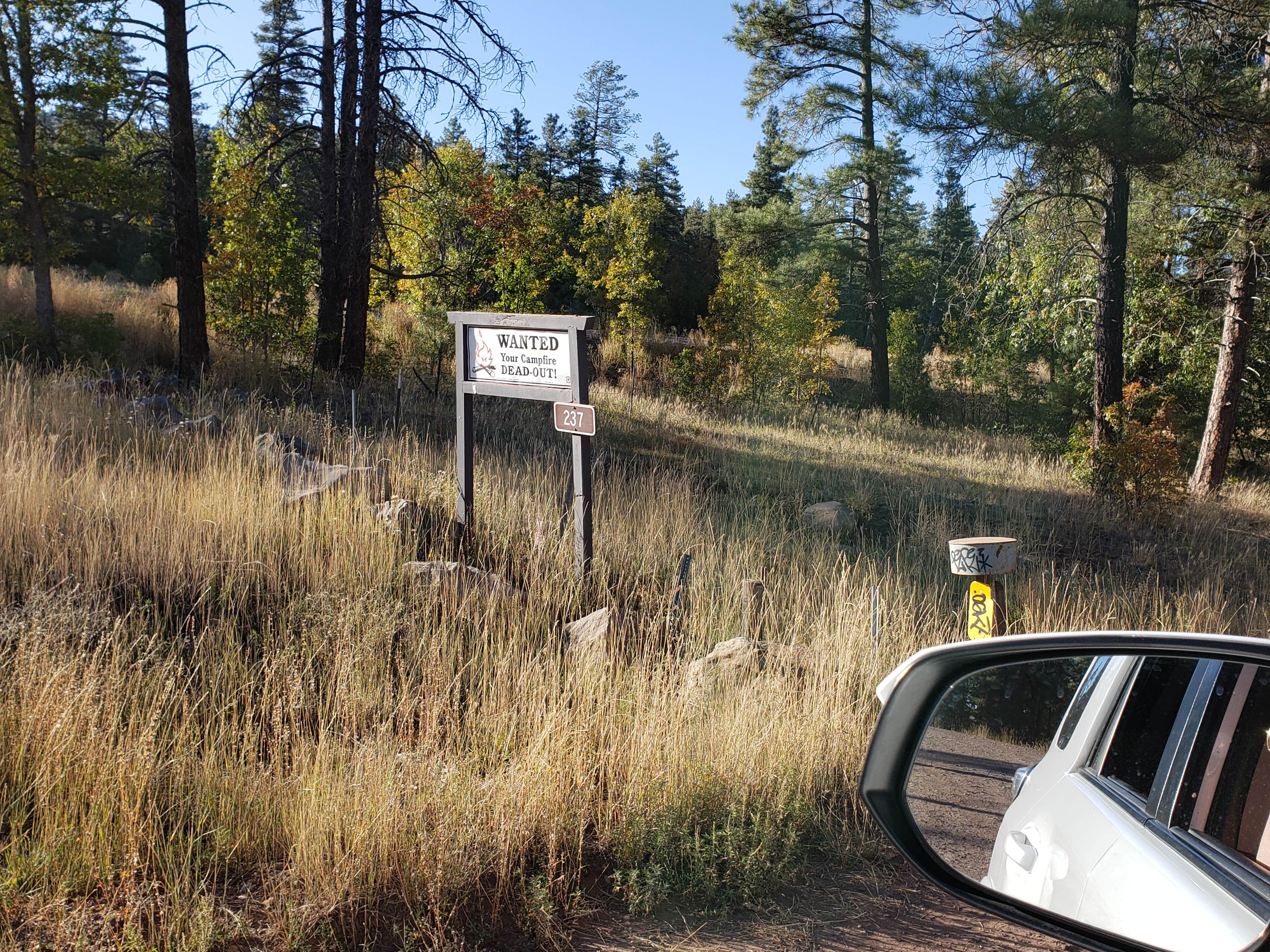 Camper submitted image from Pumphouse Wash (FR 237) Dispersed Camping Area - 5