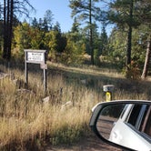 Review photo of Pumphouse Wash (FR 237) Dispersed Camping Area by Whitney W., October 27, 2019