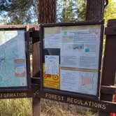 Review photo of Pumphouse Wash (FR 237) Dispersed Camping Area by Whitney W., October 27, 2019