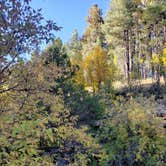 Review photo of Pumphouse Wash (FR 237) Dispersed Camping Area by Whitney W., October 27, 2019