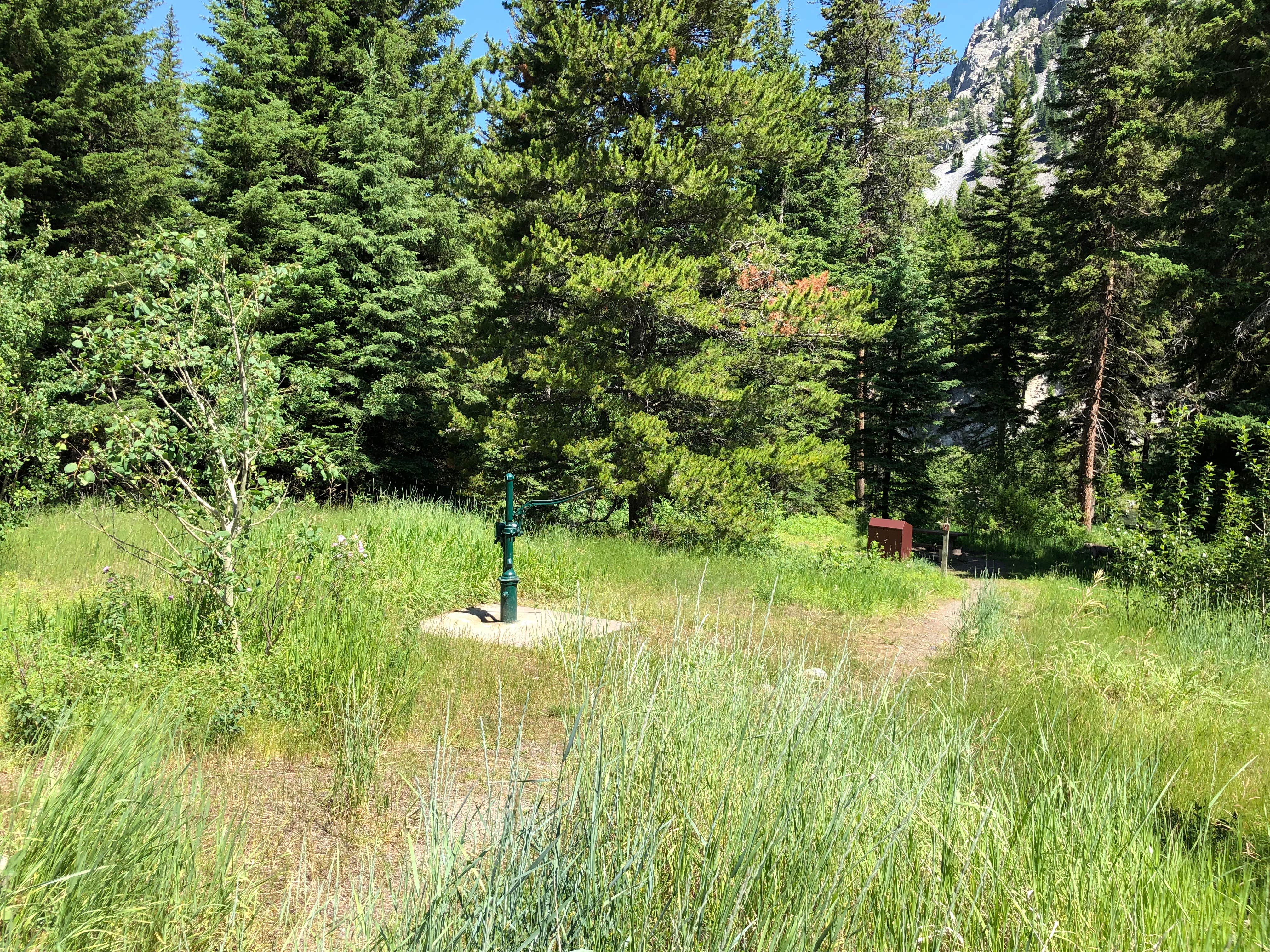 Camper-submitted photo at Falls Creek near Livingston, MT