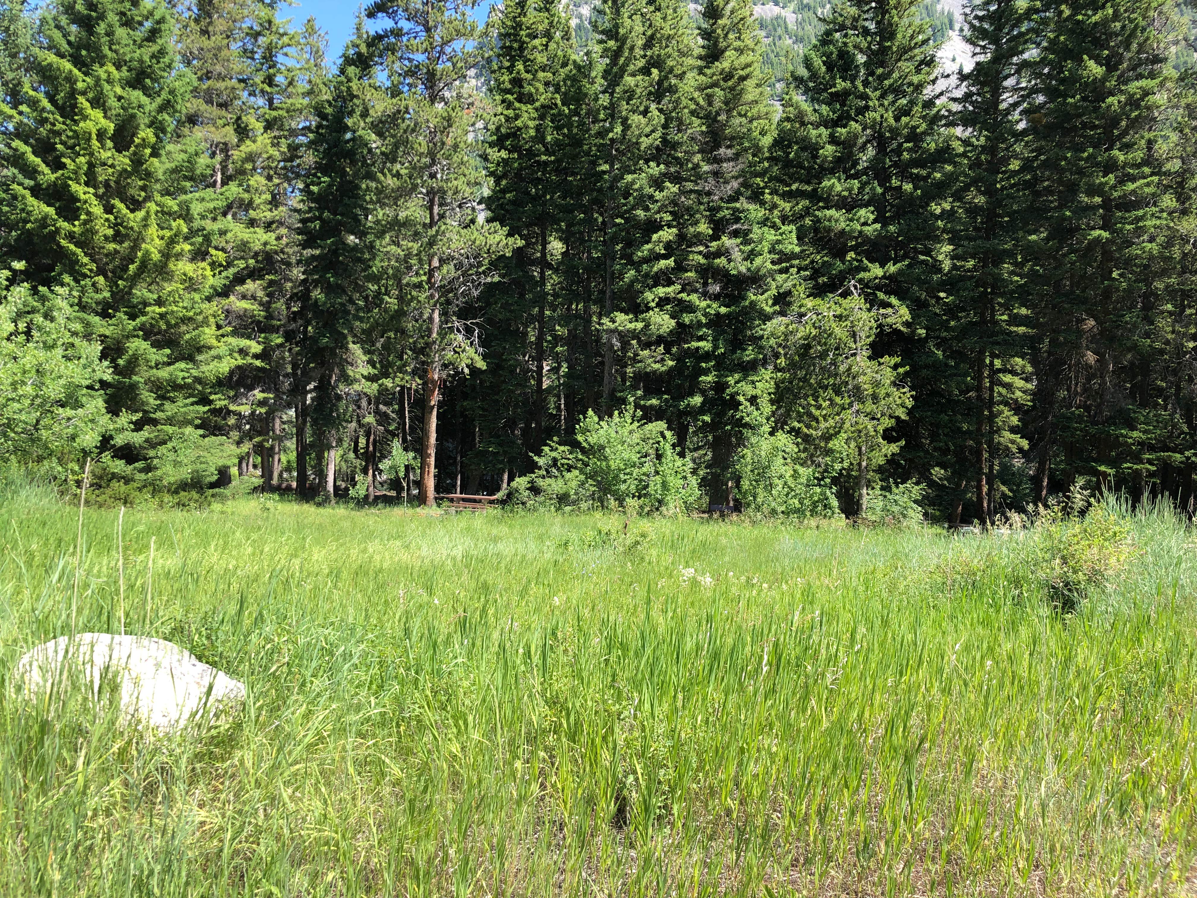 Camper-submitted photo at Falls Creek near Livingston, MT